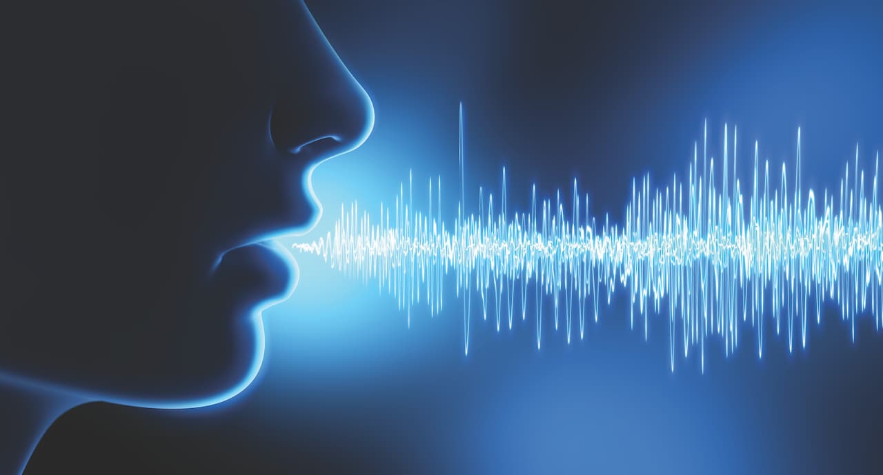 Speech and language processing: Finding their voice again