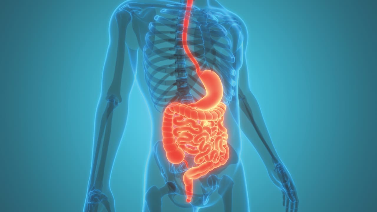 A life-saving quest for digestive diseases’ cancer biomarkers